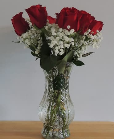 Roses Babys Breath, free to use pictures