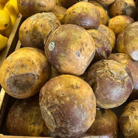 How to Grow Rutabaga Plant