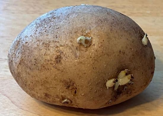 Seed Potatoes, how to make Campfire foil potatoes recipe. Garden Stuffed baked Potato