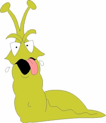 Slug