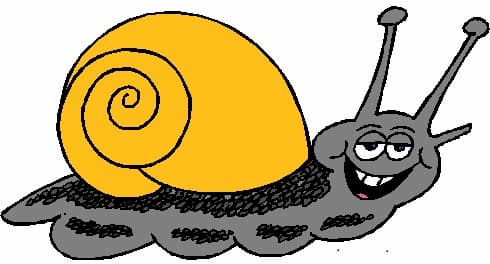 Snails