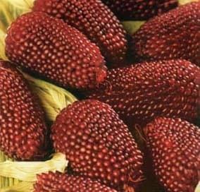 Strawberry Popcorn