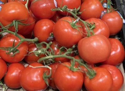 Tomatoes Bunch, Tomato recipes