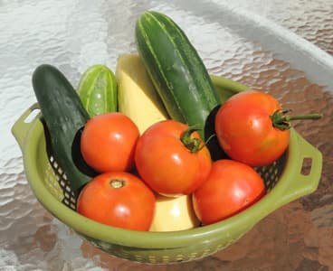 Vegetable Gardening. List of State Vegetable