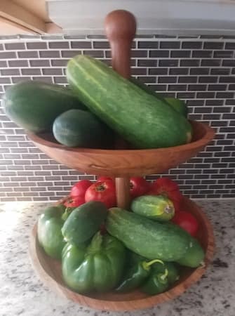 How to Grow Vegetables. Home vegetable gardening garden guide