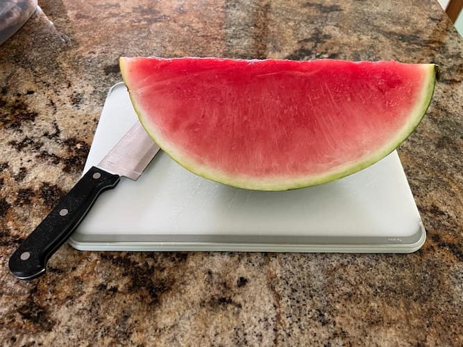 Watermelon Plant