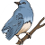 Bird Perched Flaticon